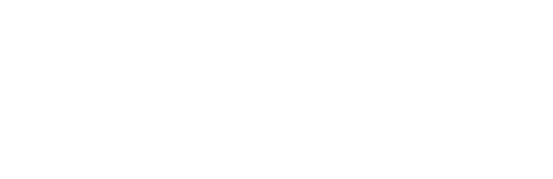 FIURJ